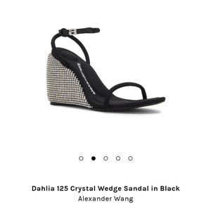 COPY - DAHLIA 125 CRYSTAL WEDGE SANDAL IN BLACK - STUNNING!